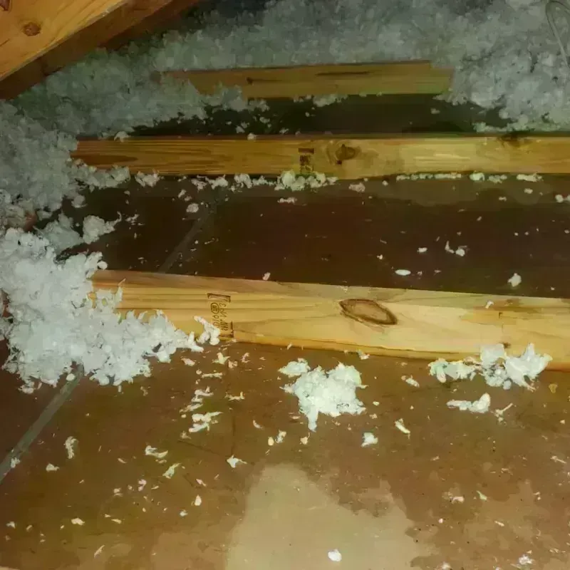 Attic Water Damage in Bangor, ME