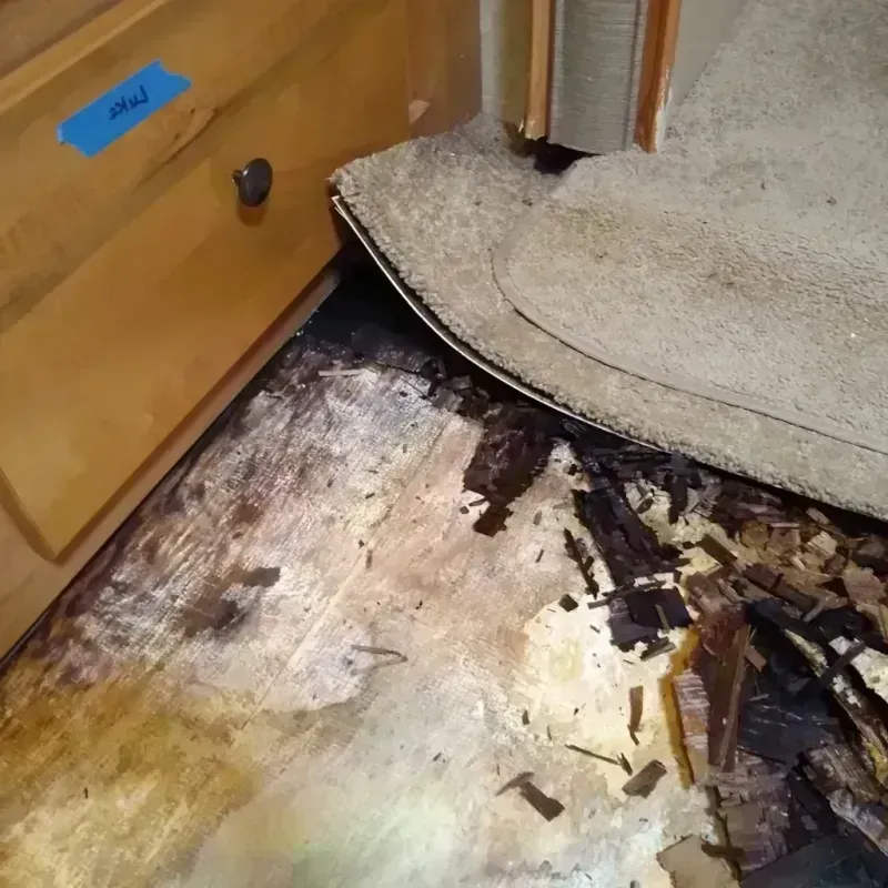 Best Wood Floor Water Damage Service in Bangor, ME